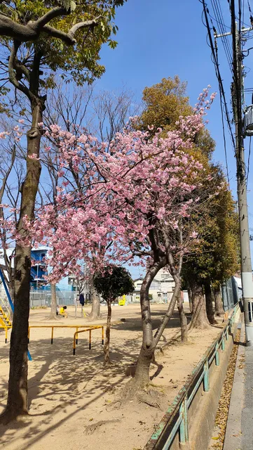 Mitsuya Higashi Park