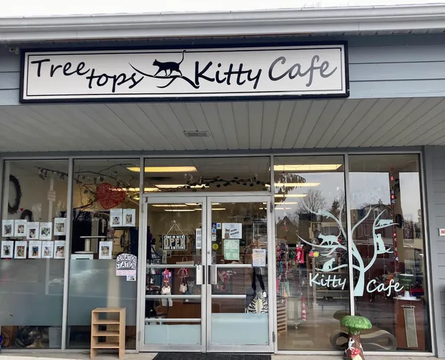 Treetops Kitty Cafe - Cat Adoption and Visitation Center
