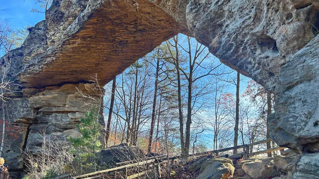 Natural Bridge State Park Woodland Center