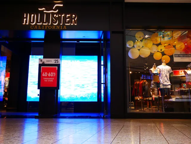 Hollister Co.