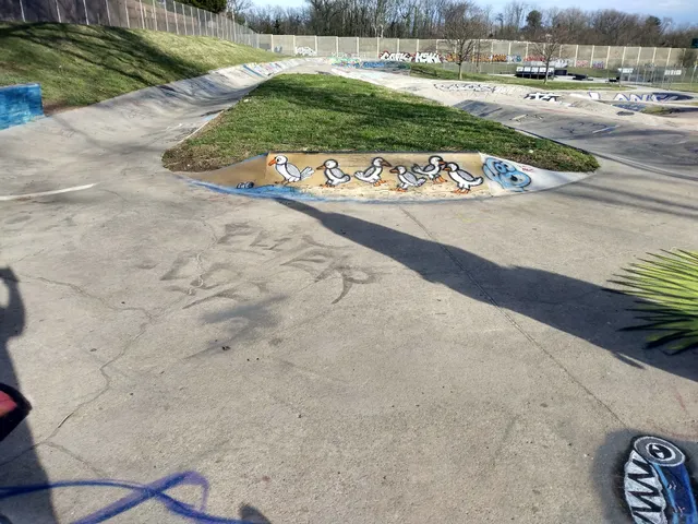 Lansdowne Bowl