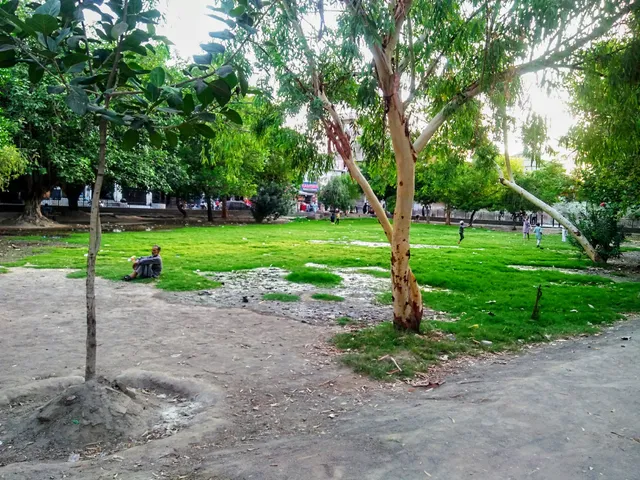 B-Block Park