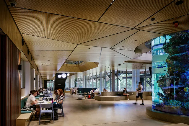 JCU: James Cook University, Australia, Townsville, Bebegu Yumba campus, Douglas