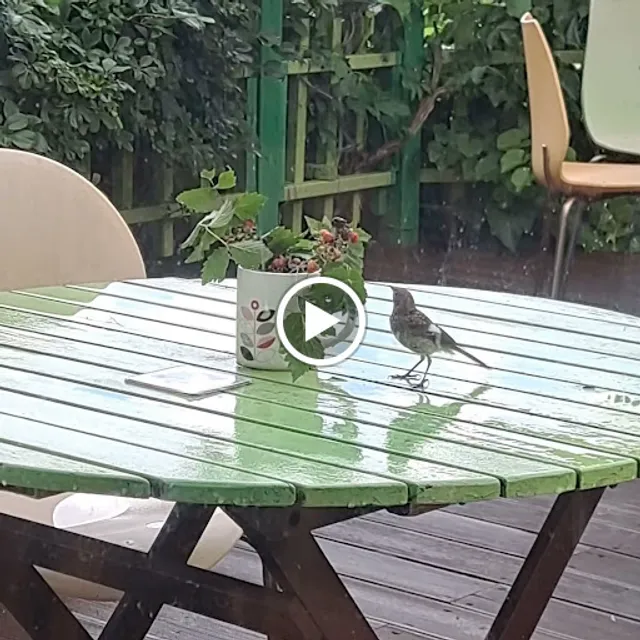 Sanmak-i Old Road Scenery Cafe