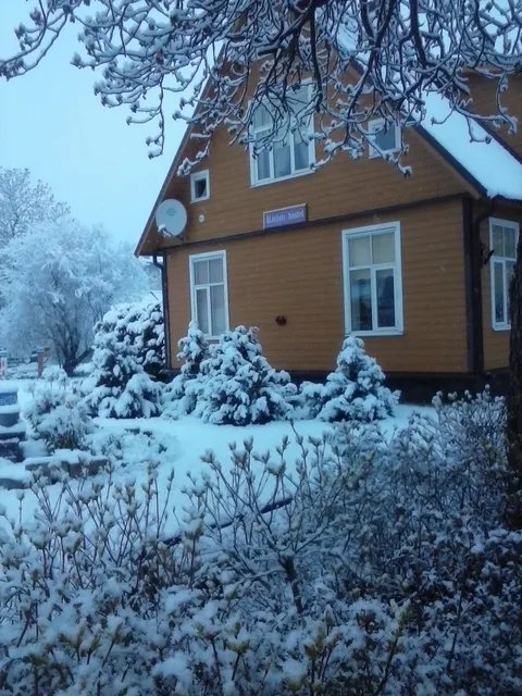 Karluti Hostel,Brammer OÜ