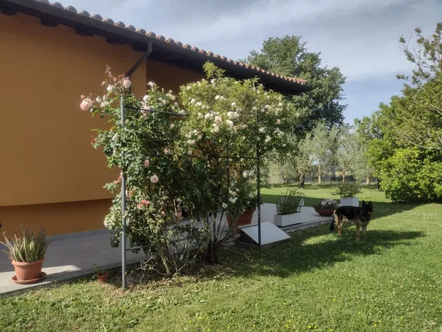 Casona Serrari Guest House