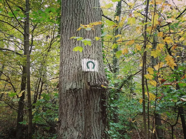 Parc forestier de la Mare Adam