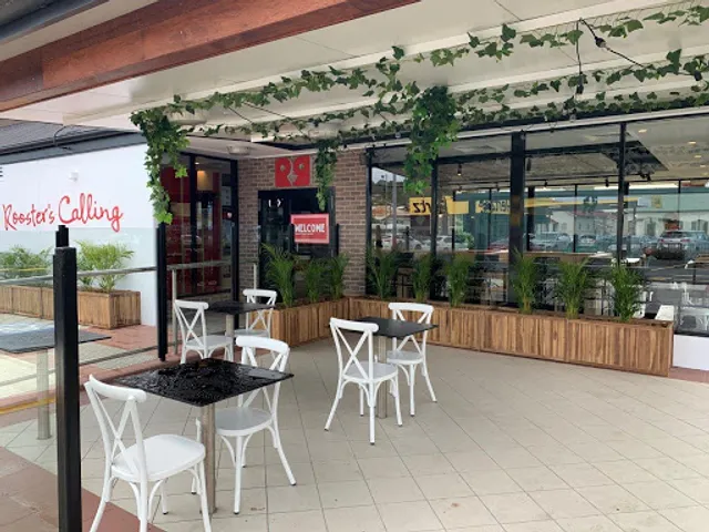 Red Rooster Tweed Heads