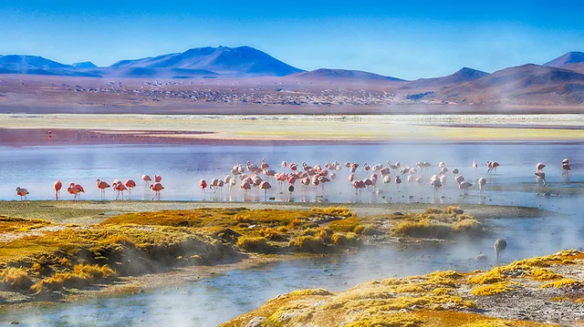 Provincia Sur Lípez