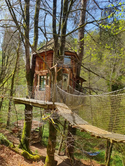 Eco source Arboricole