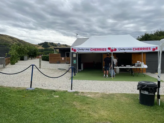 Smithy's PYO Cherries