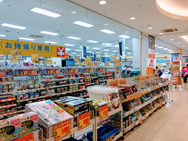 EDION Nishihara City Store