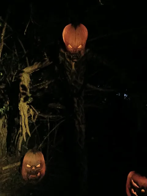 Styx and Bones haunted forest