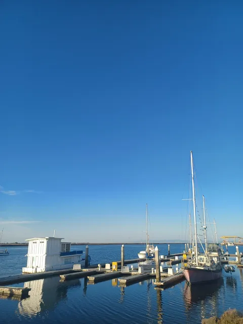 Redwood City Marina