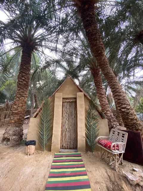Forest Camp Siwa - الغابة كامب