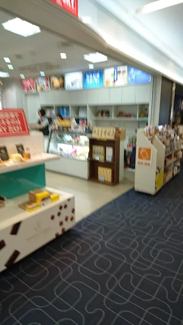 BLUE SKY Gate 3 Shop