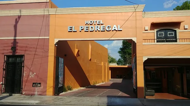 EL PEDREGAL