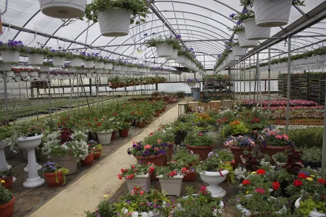 Farmer Al's Market & Greenhouses