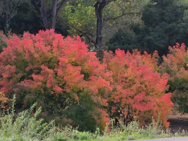 Putah Creek Lodge Parking Lot