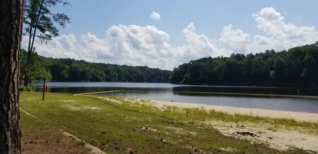 Holly Point Loop 1 Campgrounds