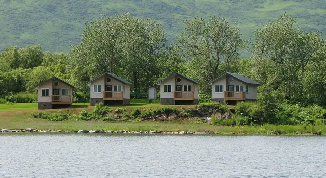 Kodiak Brown Bear Center