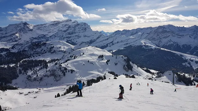 Télé-Villars-Gryon-Diablerets SA (TVGD)