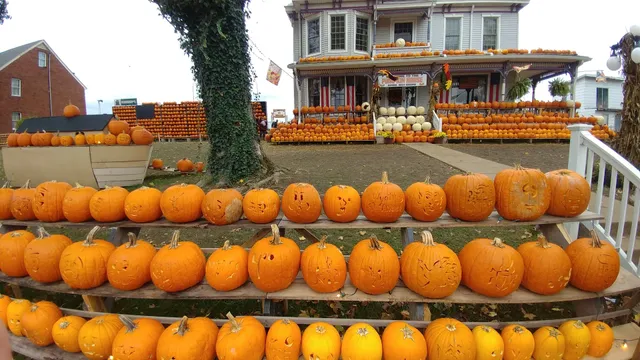 C-K Autumnfest, Griffiths Gourds