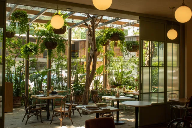 Damiana, Café y Libros