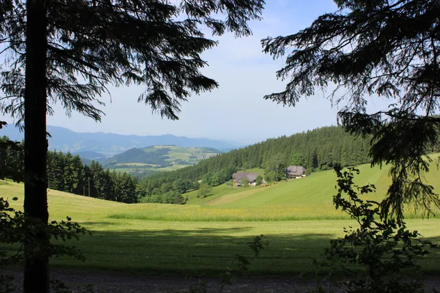 Urlaubsbauernhof - Kapfenmathishof