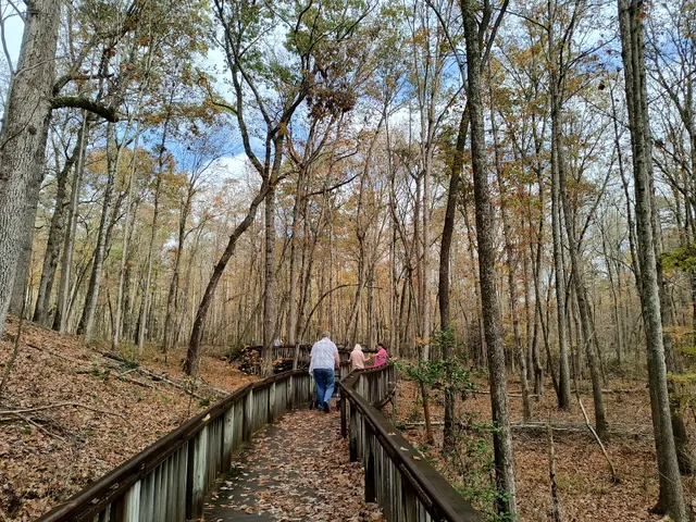 Country Store-Gifts and Information Center