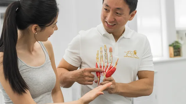 Lion Physical Therapy