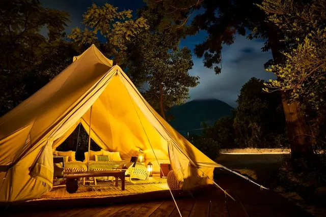 ビワコグラスター