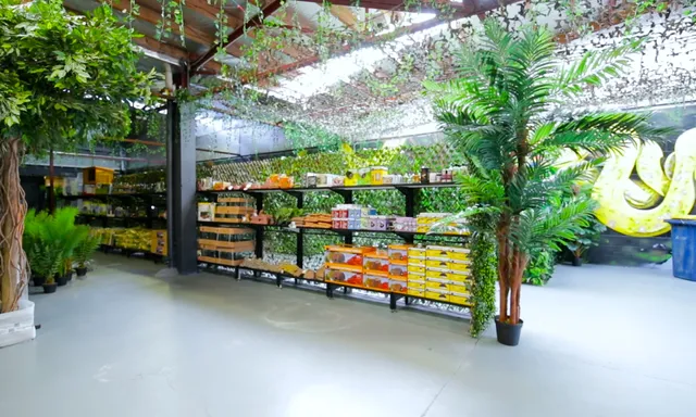 Animal Kingdom Australia