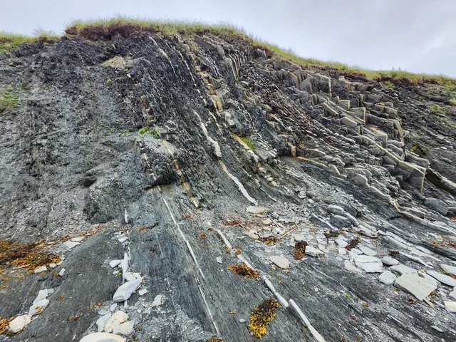 Gros Morne National Park - Green Point Geological Site
