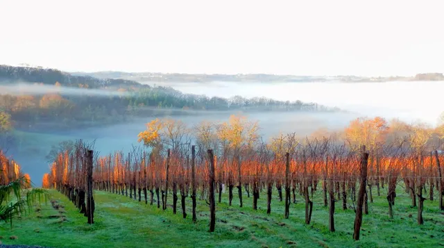 Clos Laplume - Gîte Laplume