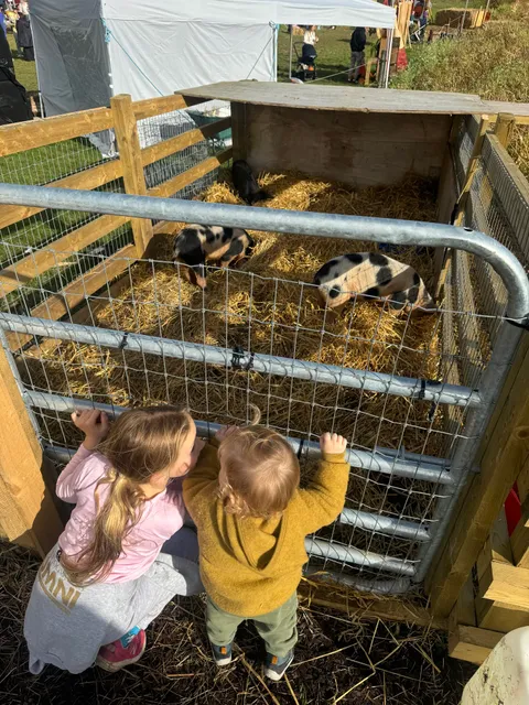 Pumpkin Patch Kildare