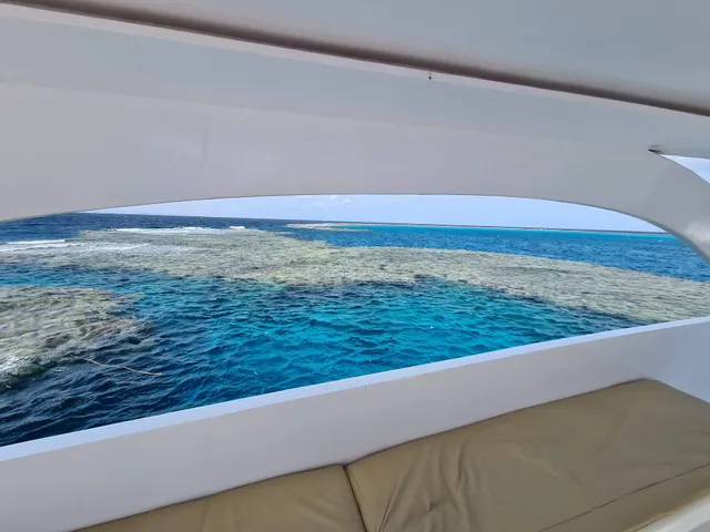 Sol Y Mar Dolphin House