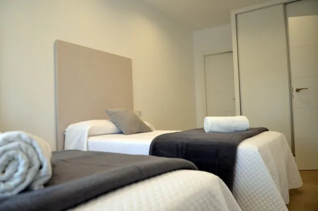 Apartamentos turisticos El Sueño de la Mancha