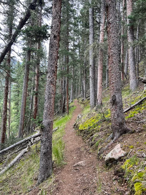 Lost Park Campground