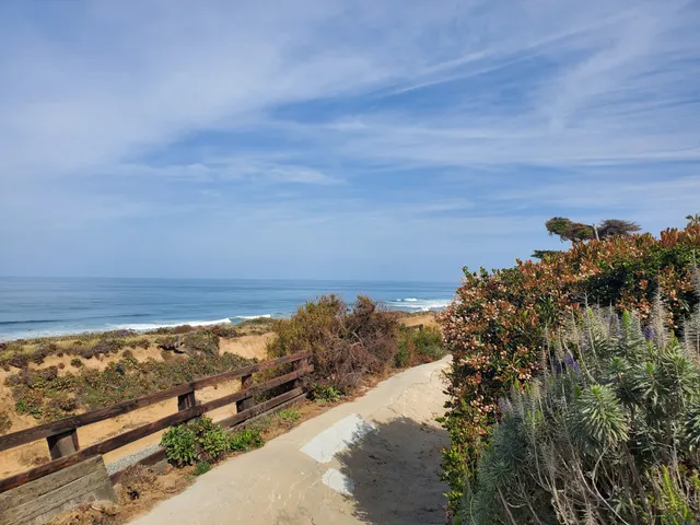 Del Mar Shores Park