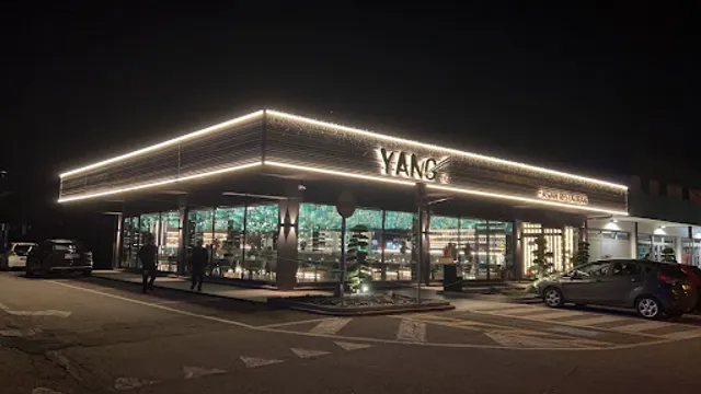 Yang Asian Restaurant - Bagnolo Mella