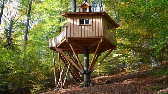 Baumhaushotel Solling GmbH