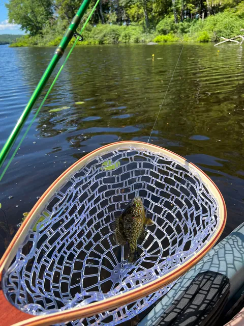 Moffitt Beach State Campground