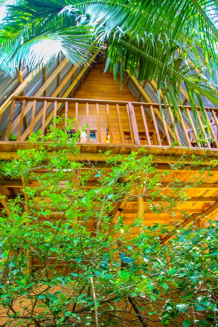 Sigiriya Eco TreeHouse