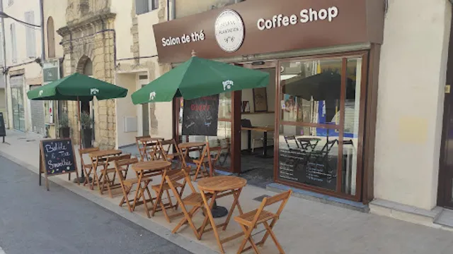 Torrefaction / La Plantation