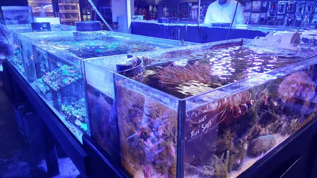 St. George Plaza (Avenel)