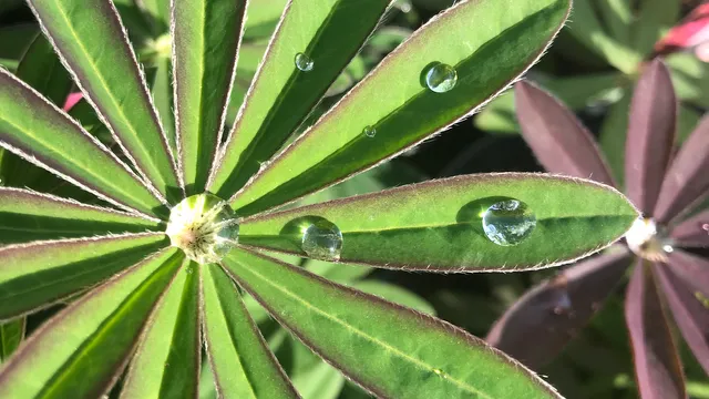 Healing Bristol Near Me