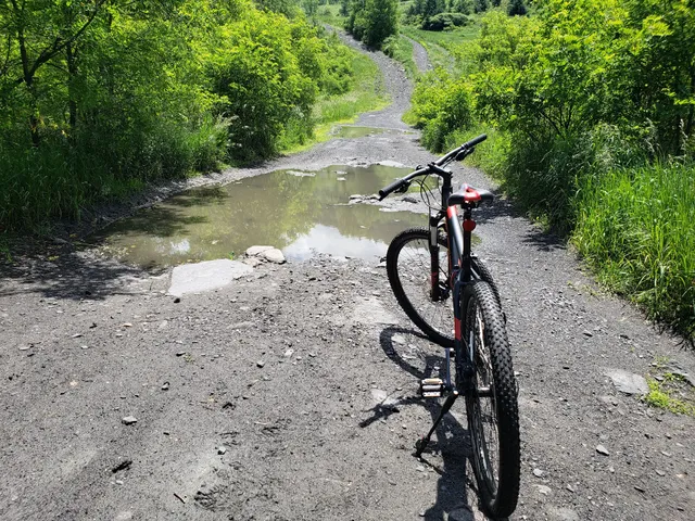 Penobscot Ridge Mountain Bike Trail