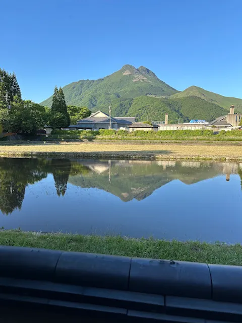 NOGIKU（サウナのぎく）