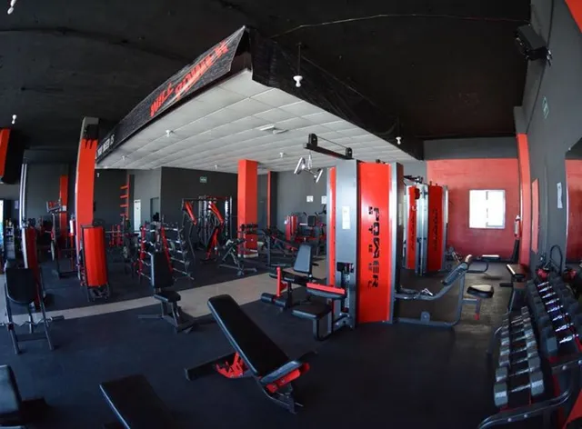 Gimnasio Will Power